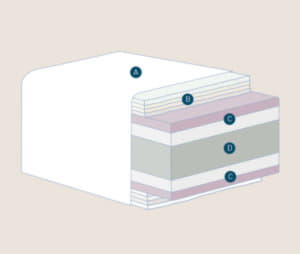 virtuoso-16-5-300x254.jpg virtuoso-16-5-300x254.jpg