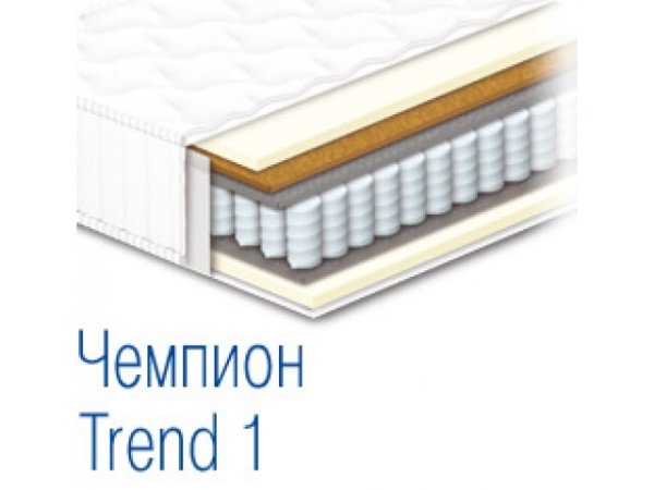 ЧЕМПІОН TREND 1 - ортопедичний матрац 180х190 