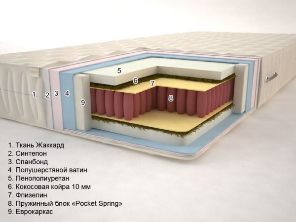 Тропік «Pocket Spring» (висота: 20 см)