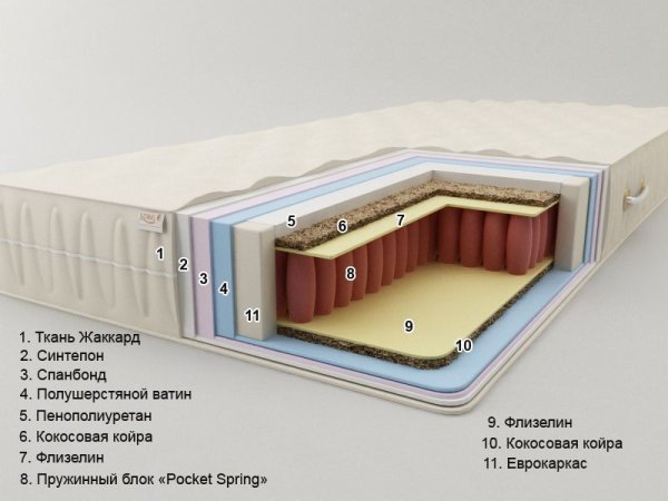 Беліз «Pocket Spring» (висота: 19 см)